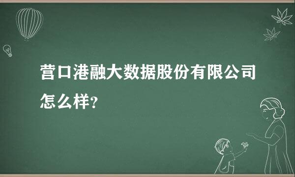 营口港融大数据股份有限公司怎么样？