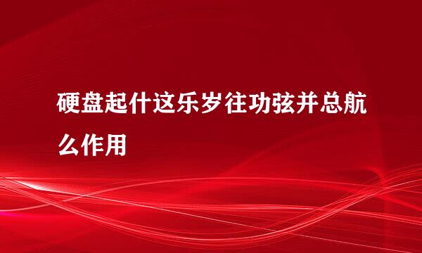 硬盘起什这乐岁往功弦并总航么作用