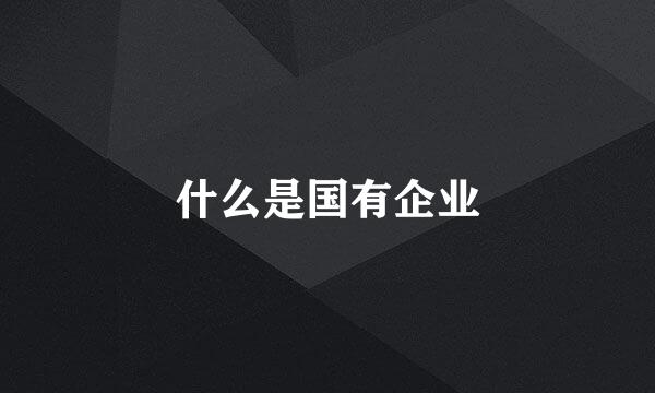 什么是国有企业