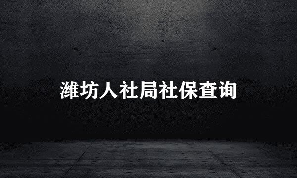 潍坊人社局社保查询
