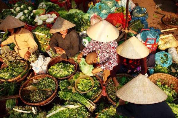 越南的地理和气候是怎样的？