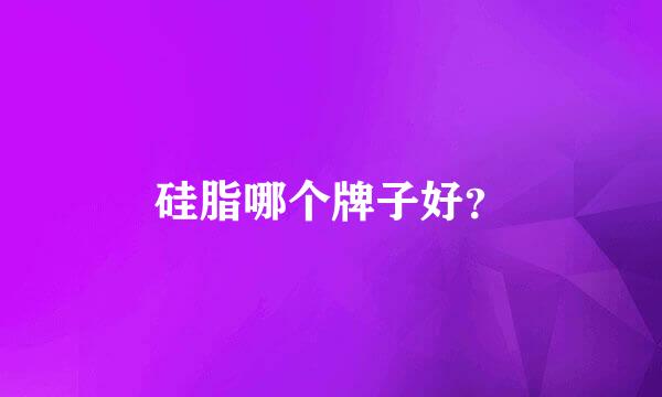 硅脂哪个牌子好？