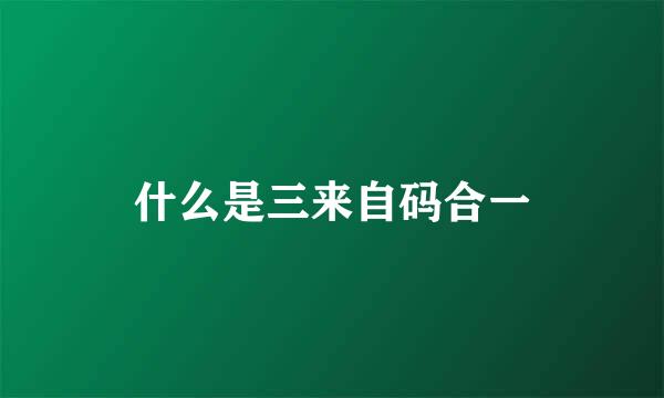 什么是三来自码合一