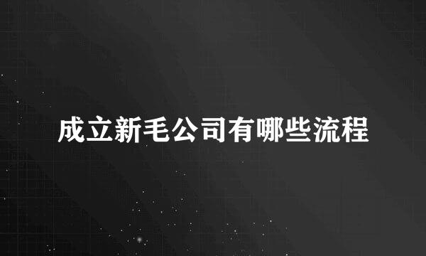 成立新毛公司有哪些流程