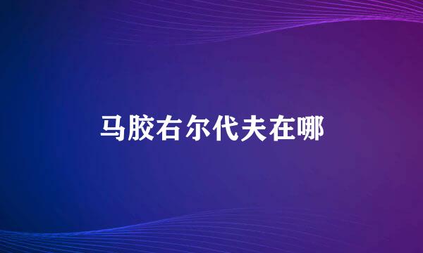 马胶右尔代夫在哪