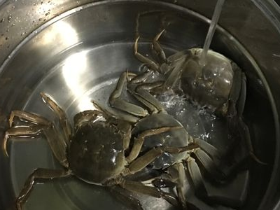 绑好的螃蟹怎么清洗图解