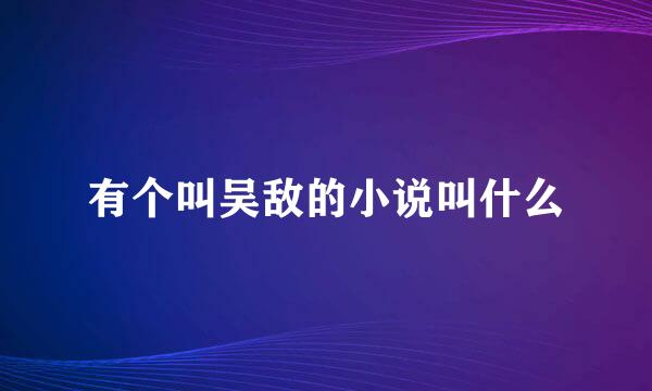 有个叫吴敌的小说叫什么