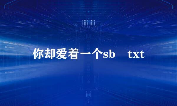 你却爱着一个sb txt