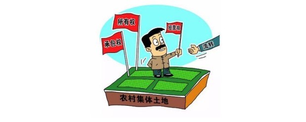 三权分置是什么