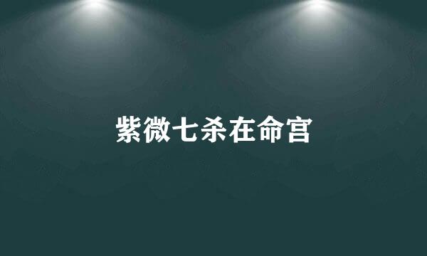 紫微七杀在命宫