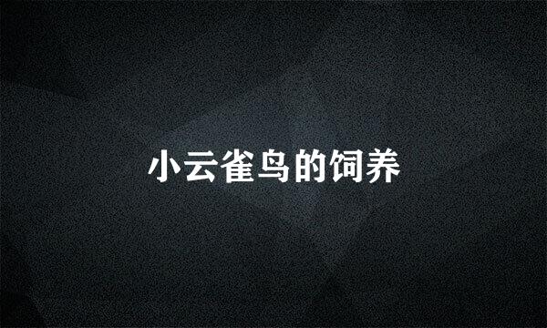 小云雀鸟的饲养