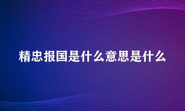 精忠报国是什么意思是什么