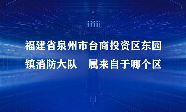福建省泉州市台商投资区东园镇消防大队 属来自于哪个区