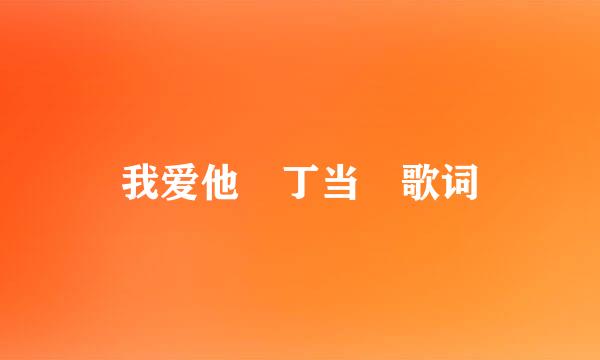 我爱他 丁当 歌词