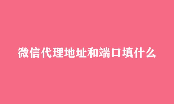 微信代理地址和端口填什么