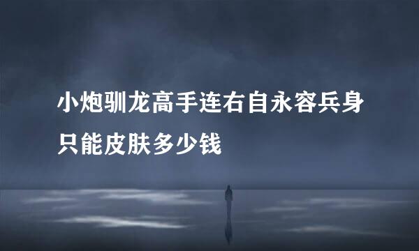 小炮驯龙高手连右自永容兵身只能皮肤多少钱