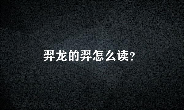 羿龙的羿怎么读？