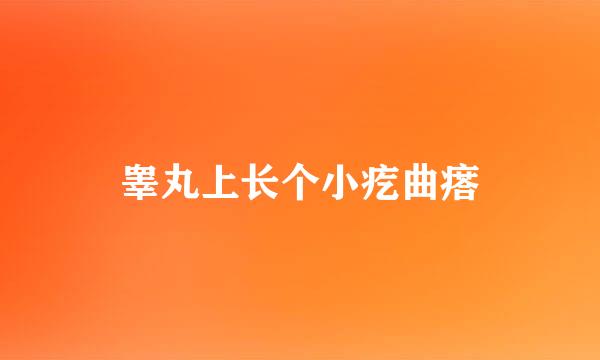 睾丸上长个小疙曲瘩