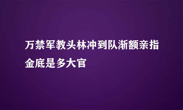万禁军教头林冲到队渐额亲指金底是多大官