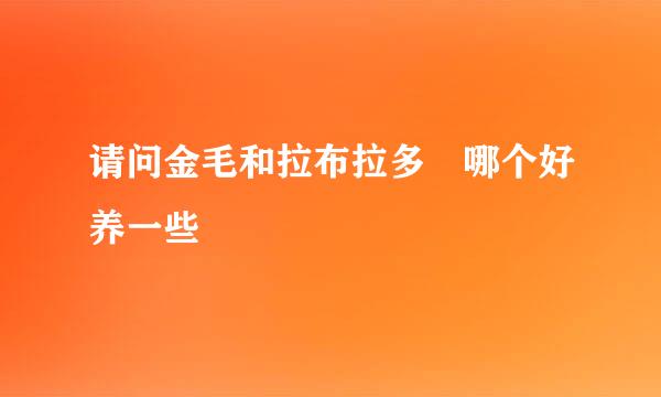 请问金毛和拉布拉多 哪个好养一些