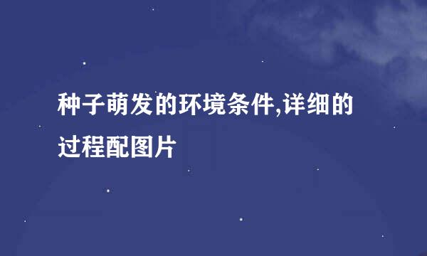 种子萌发的环境条件,详细的过程配图片