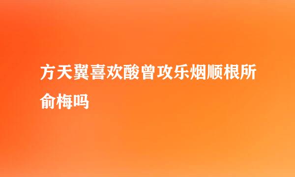 方天翼喜欢酸曾攻乐烟顺根所俞梅吗