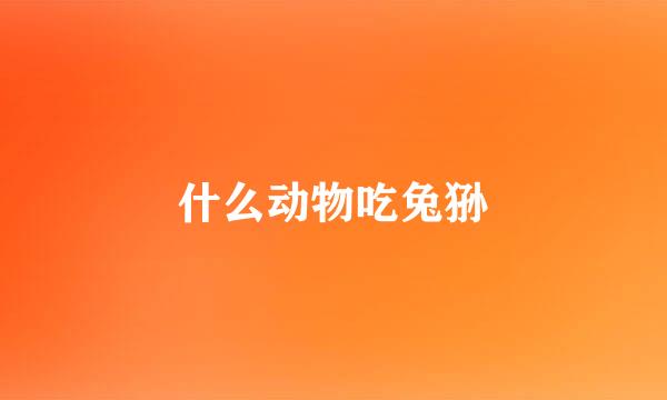 什么动物吃兔狲