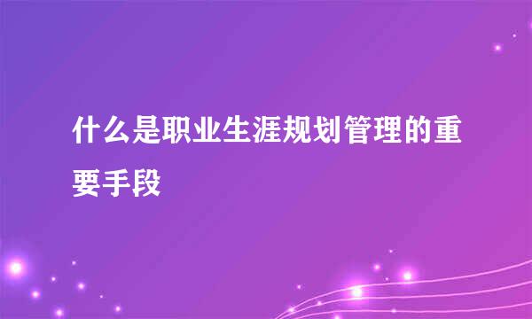 什么是职业生涯规划管理的重要手段