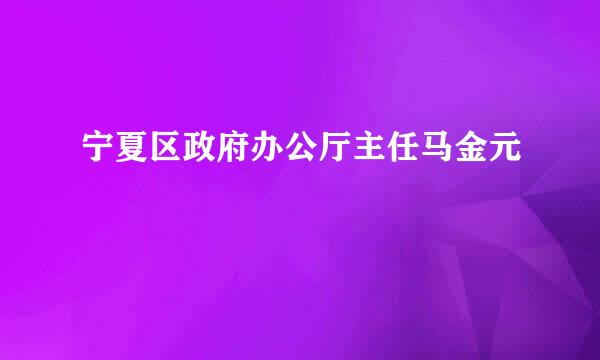 宁夏区政府办公厅主任马金元