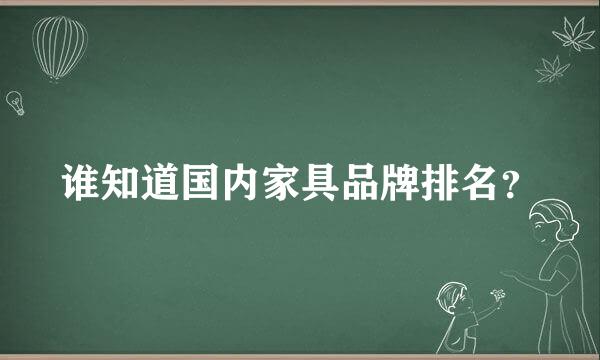 谁知道国内家具品牌排名？