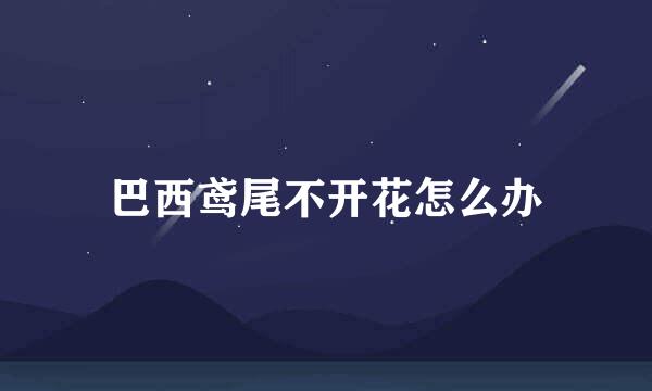 巴西鸢尾不开花怎么办