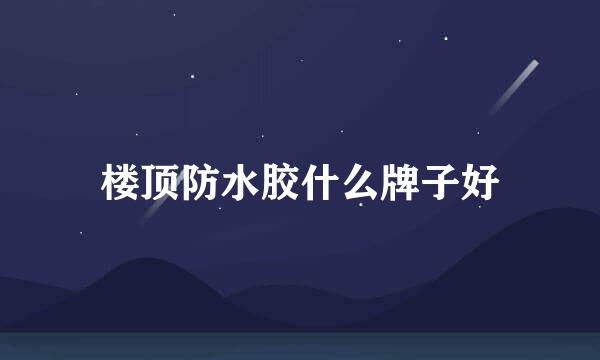 楼顶防水胶什么牌子好