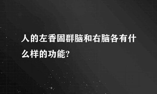人的左香固群脑和右脑各有什么样的功能?