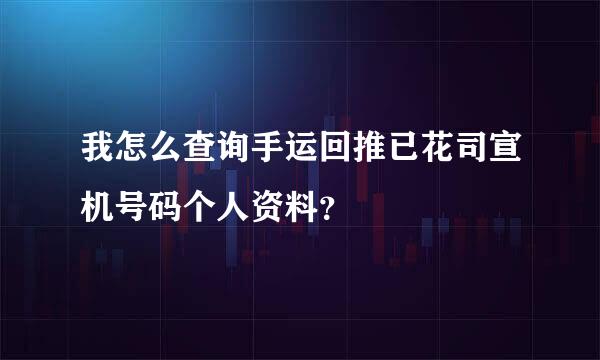我怎么查询手运回推已花司宣机号码个人资料？