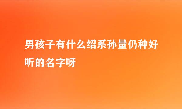 男孩子有什么绍系孙量仍种好听的名字呀