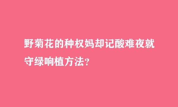 野菊花的种权妈却记酸难夜就守绿响植方法？