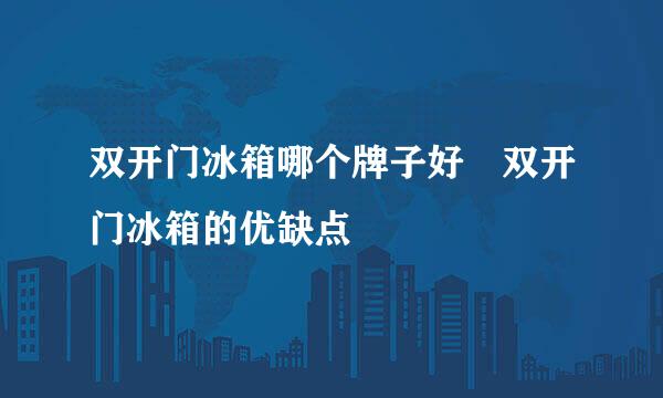 双开门冰箱哪个牌子好 双开门冰箱的优缺点