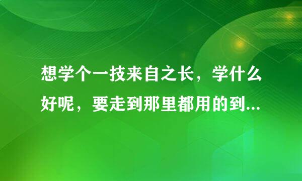 想学个一技来自之长，学什么好呢，要走到那里都用的到的那种，！