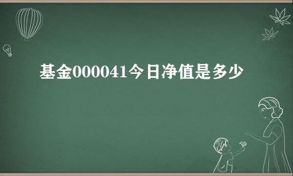 基金000041今日净值是多少