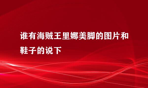 谁有海贼王里娜美脚的图片和鞋子的说下