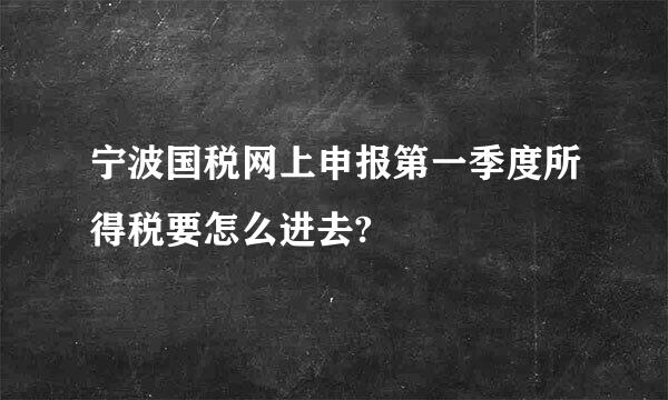 宁波国税网上申报第一季度所得税要怎么进去?