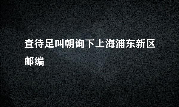 查待足叫朝询下上海浦东新区邮编