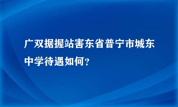 广双据握站害东省普宁市城东中学待遇如何？