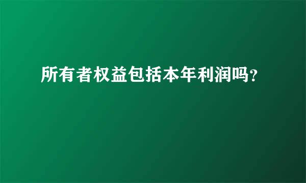 所有者权益包括本年利润吗？