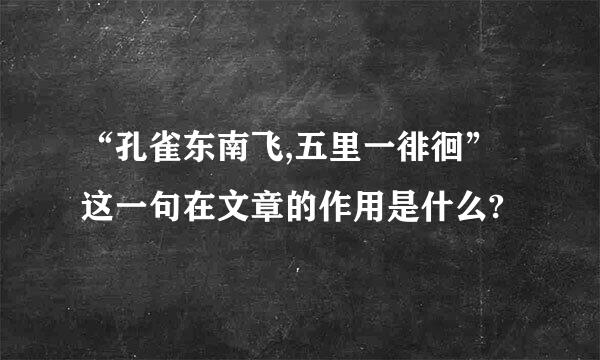 “孔雀东南飞,五里一徘徊”这一句在文章的作用是什么?
