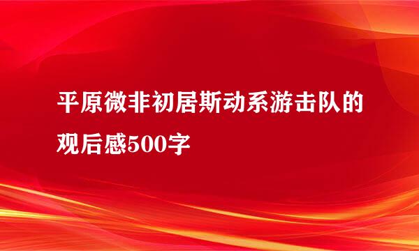 平原微非初居斯动系游击队的观后感500字