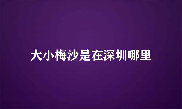 大小梅沙是在深圳哪里