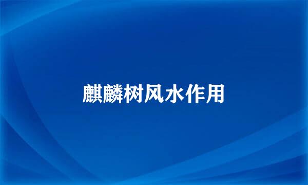 麒麟树风水作用