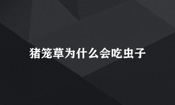 猪笼草为什么会吃虫子