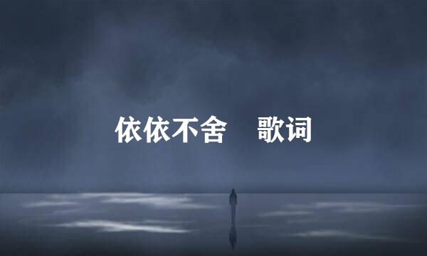 依依不舍 歌词